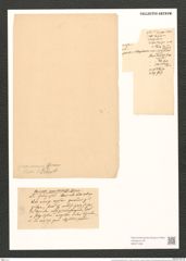 Cocconeis quarnerensis (Grun.) A. Schum. (de-Toni-Nr.: Genus 40, Species 1840) Zeichnungen Sammlung Grunow (NHMW-BOT-W0371236)